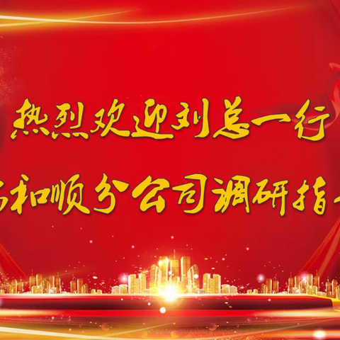 党建引领 大抓基层 赋能发展 保障新战略落实——市公司第五调研组深入和顺分公司调研指导