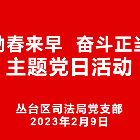 丛台区司法局党支部开展2月主题党日活动—学习《习近平总书记在2023年春节团拜会上的重要讲话》