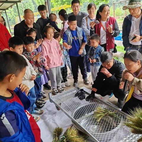 人行济源市中支组织开展“传承农耕文化 润泽快乐童心”六一儿童节主题活动