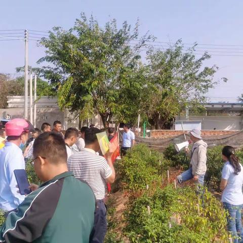 市农业服务中心中心：党建业务双融双促，农技培训走进村庄