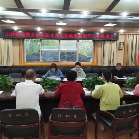 上林街道召开城乡居民基本养老保险数据治理工作推进会