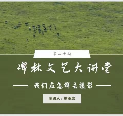 “处处皆光影，相约在碑林”——碑林区文联举办摄影主题讲座活动