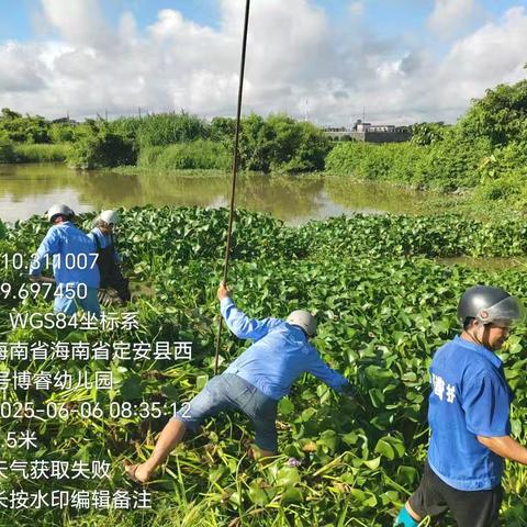 定城镇开展水浮莲清理整治行动