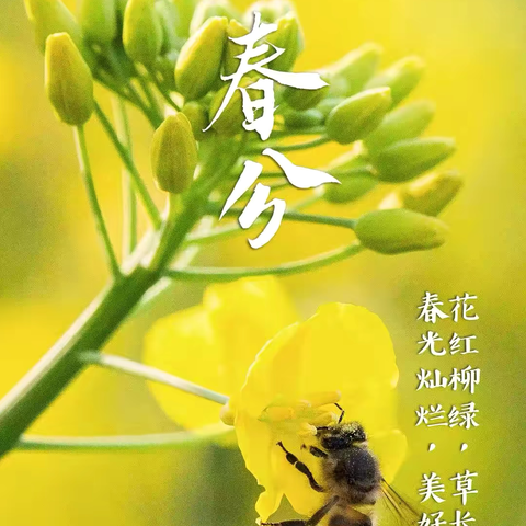人间最美春分时节，白地市第一中心小学教研公开课绽放智慧之花