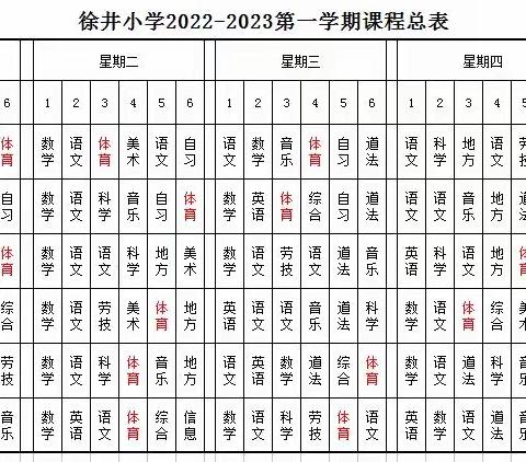 宿羊山镇徐井小学体育课表公示