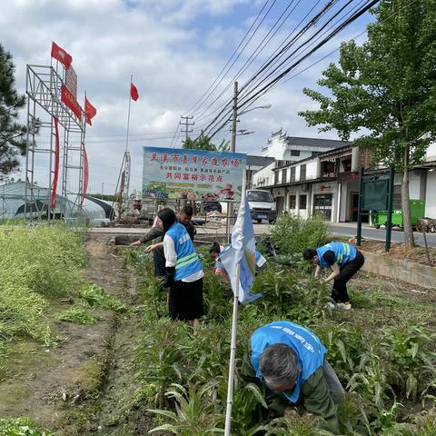 民革金华市委会直属兰溪市支部组织志愿者参与“爱心农场”公益劳动