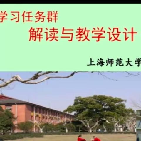 学习吴忠豪教授《语文学习任务群解读与教学设计》心得体会