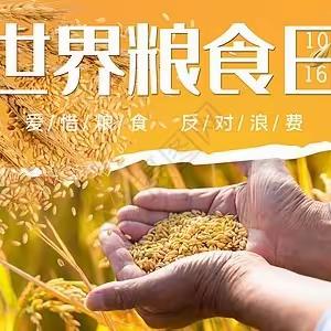 海格村新时代文明实践站开展世界粮食日宣传活动