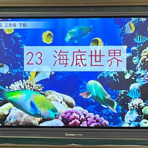 【全环境立德树人】新进教师展风采，听课评课促成长——记民主小学新进教师公开课展示活动