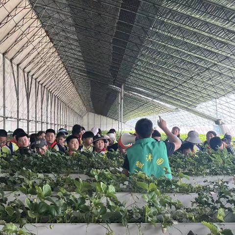 “研”有所见 “学”有所获 研学活动纪实
