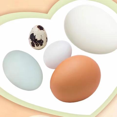 【皮山县皖疆幼儿园】小三班课程活动——《嘿！魔法蛋蛋🥚》