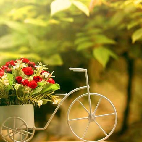 “冬之品”综合实践 一年级（4）班 高艺桐