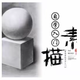 “素”心向画，“描”绘未来——兰州市第八十八中学校本课程之素描