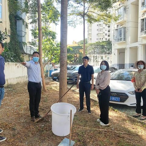 大东海社区创文巩卫每日简报（2023.2.11）