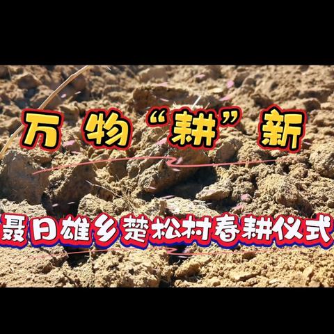 “春为岁首，农为行先 ”💖聂日雄乡楚松村💖 万物“耕”新春耕仪式
