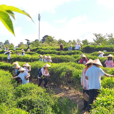 华添研学特色线路