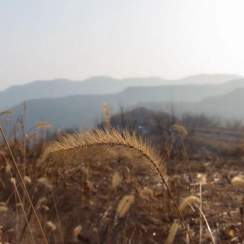 2月11日张坪-冰瀑-蔺郊徒步