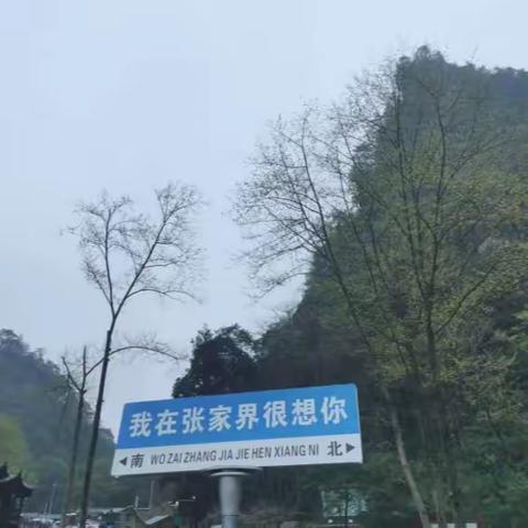 与你通行，皆是风景，同频的人才能看得懂同一片风景~张家界&南岳衡山之旅