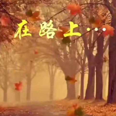 【百姓雷锋展窗+环保母亲河】志愿服务