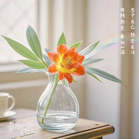 建组十周年——抚顺作协廿四组﻿清明祭怀五文友作品集 ﻿‍【敬重生命】