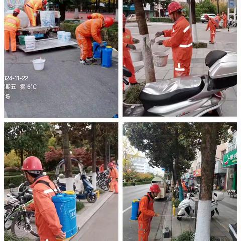 为树刷白穿新衣