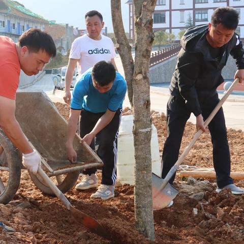 校园沃土植新绿 家校携手谱新篇