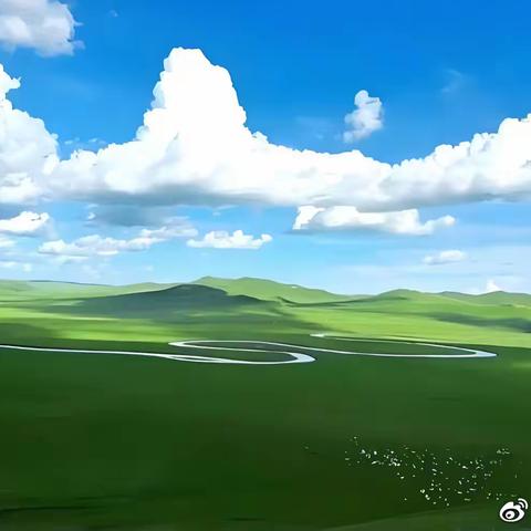 军骡“土匪”1：草原