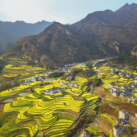 春游凤堰梯田赏油菜花记