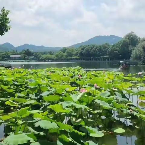 缤纷暑假  留住精彩一一恒园宝贝暑假生活（信息科技篇）