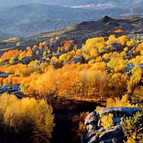 晚霞诗社（61）