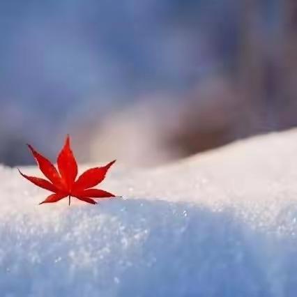 晚霞诗社（65）