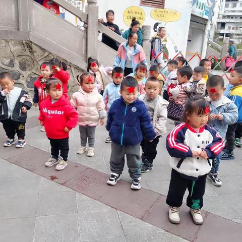 向日葵幼儿园小班第七周总结