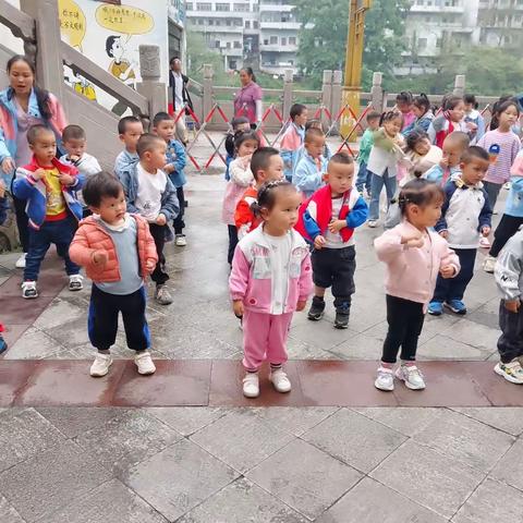 🏡向日葵🌻幼儿园第九周总结