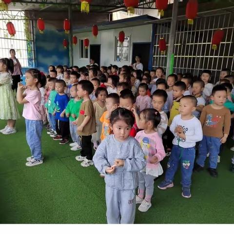 向日葵幼儿园小班第十四周总结