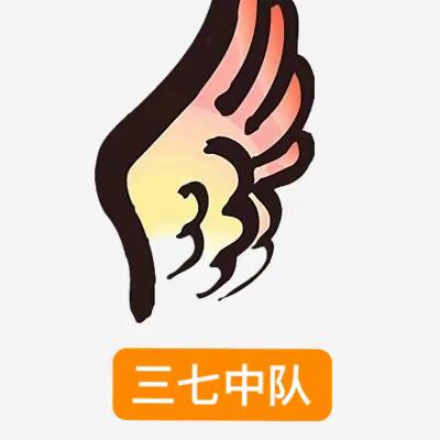 三七中队（小翅膀中队）