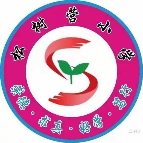 “写规范字，悟文字美”——松树营小学写字教学活动