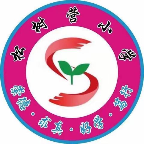 以检查促规范，以规范促提升——松树营小学开展教学常规大检查活动