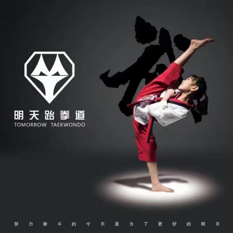 明天跆拳道精英班简介