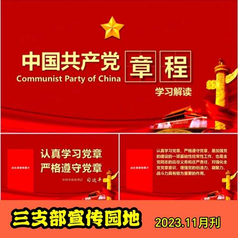 学习新党章.奋斗新征程