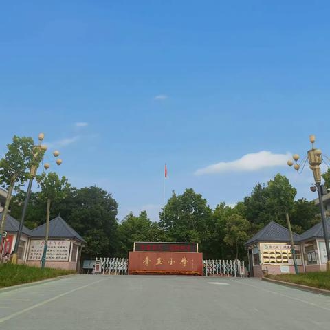 【传承香玉】河洛镇香玉小学“反诈同心 防诈同行”告家长通知书