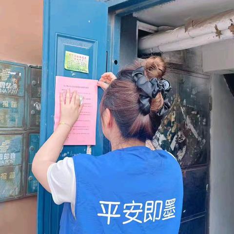 【为民办实事】永兴社区巧解热电厂宿舍流浪猫困扰