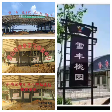 田间撒欢，成长UP！ -——丰南大齐学子暑期“趣”实践