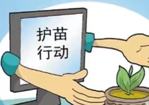 文明绿书签 护苗伴成长——张湾镇和平小学“护苗·绿书签”主题活动