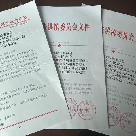 张洪镇：扎实开展集中排查   筑牢防止返贫底线