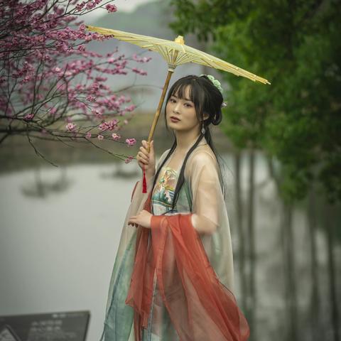 梅花三弄