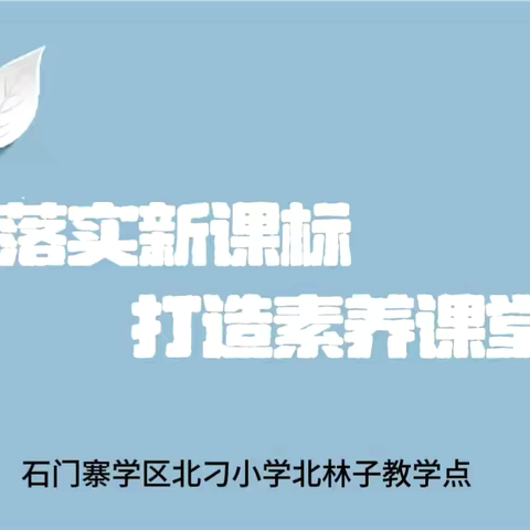 “落实新课标 打造素养课堂”北林子教学点全员岗位练兵公开课展示活动