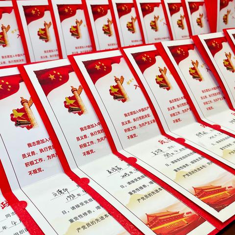 镇城社区开展“同过政治生日·永葆初心使命”主题党日活动