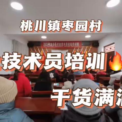 提升农民专业技能，助力乡村人才振兴