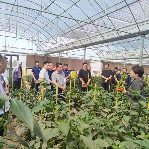 科技小院助力“一县一品”工作推进会在我县顺利召开
