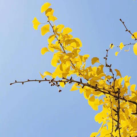 未雨绸缪，防灾减灾